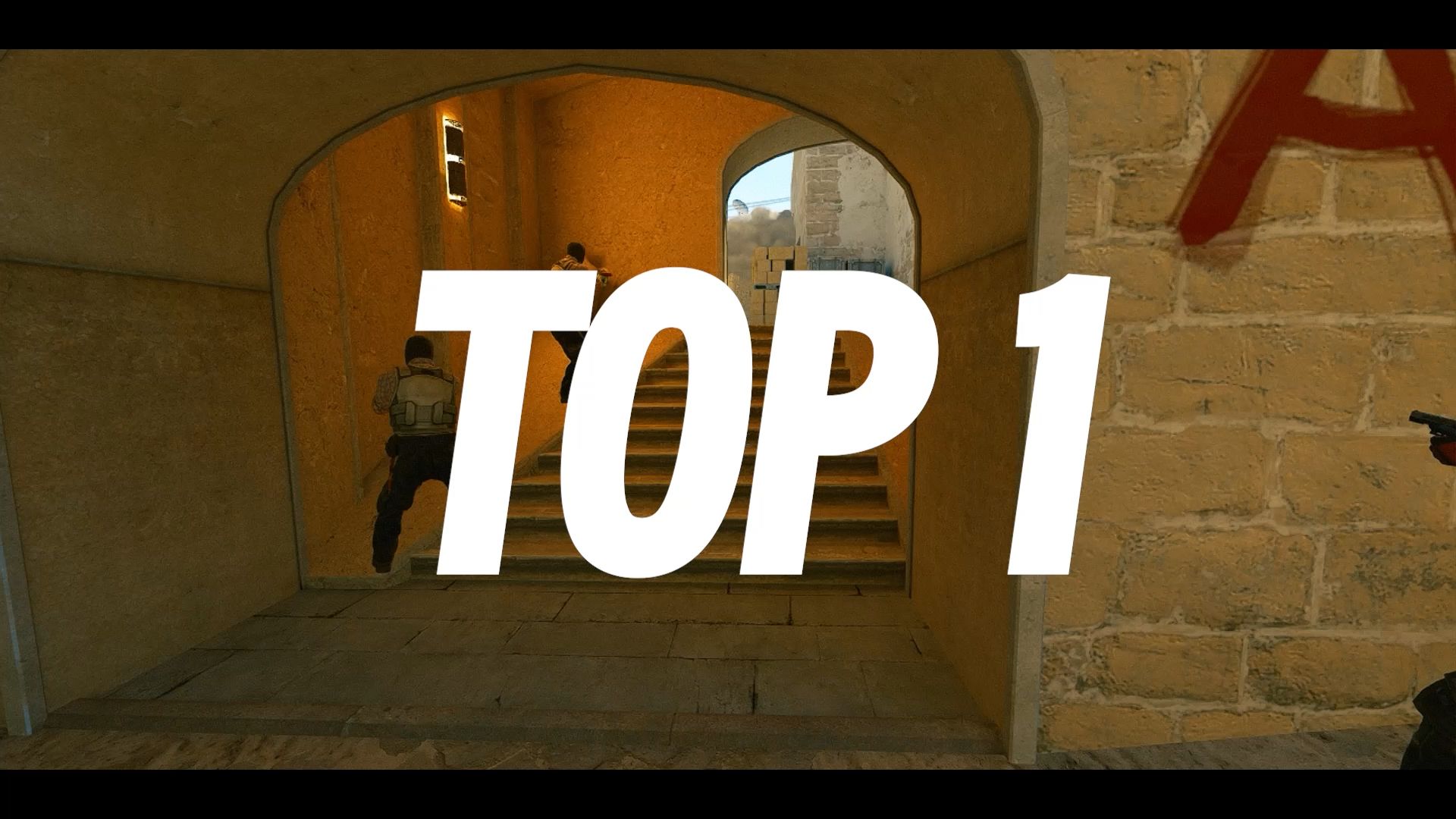 出具的结论 出具的结论