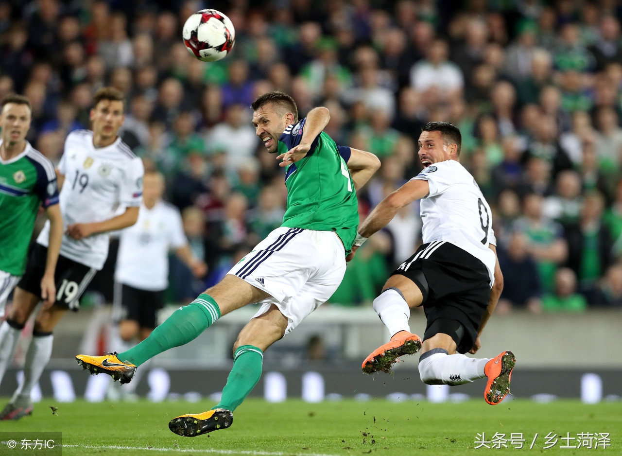 尸杂交版有 尸杂交版有